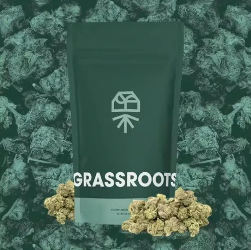 Grassroots - Grassroots Whole Flower 14g Problem Child (H) 02127 Main Image