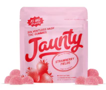 Jaunty Strawberry Fields Hash Infused | 100mg | 10mg/ea
