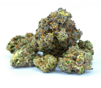 Bison Botanics - Blue Dream - 3.5G