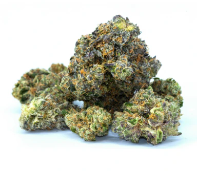 Bison Botanics - Bison Botanics - Blue Dream - 3.5G Main Image