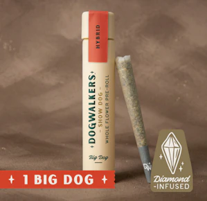 Dogwalkers | Pre-roll | Infused Pre-Rolls | Afternoon Delight #4 | 1g