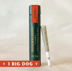 Dogwalkers | Pre-roll | Infused Pre-Rolls | Afternoon Delight #4 | 0.75g