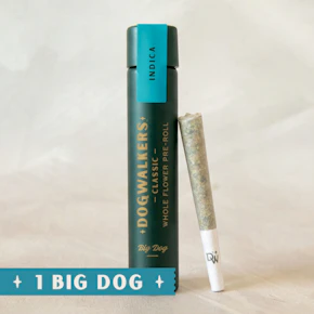 Dogwalkers | Pre-roll | Infused Pre-Rolls | Brownie Scout | 0.75g