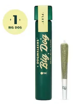 Dogwalkers - Brownie Scout | Dogwalkers .75g Big Dog Pre Rolls Main Image