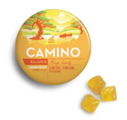 Camino Mango with CBD 5:5 Cannabis-Infused Gummies 00606