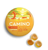 Mango Serenity THC:CBD 20pk Gummies - 100mg