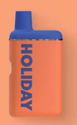 HOLIDAY - LEISURE - 1G AIO