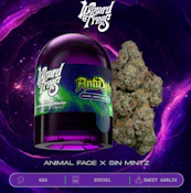 WIZARD TREES | ANTIDOTE | FLOWER | 3.5G