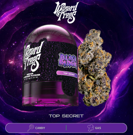 WIZARD TREES: Black Magic