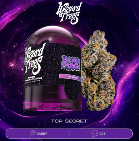 Wizard Trees - WIZARD TREES |  BLACK MAGIC | FLOWER | 3.5G Main Image