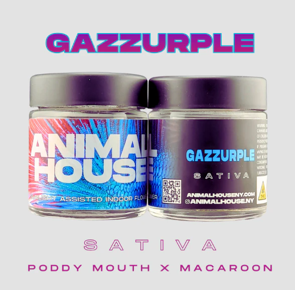 Animal House - Gazzurple - 3.5G Flower Main Image