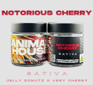 Notorious Cherry - 3.5G Flower