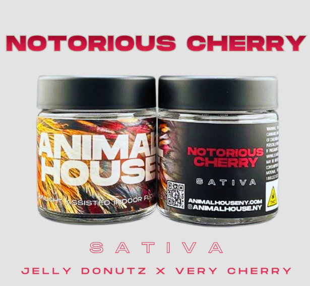 Animal House - Notorious Cherry - 3.5G Flower Main Image