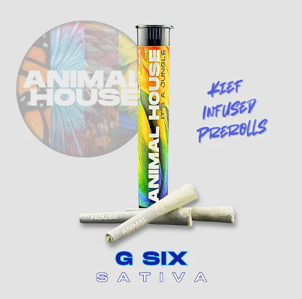 Animal House - G6 - 3PK Kief Infused Prerolls Main Image