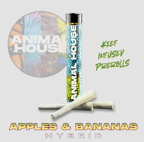Animal House - Apples & Bananas - 3PK Kief Infused Prerolls Main Image