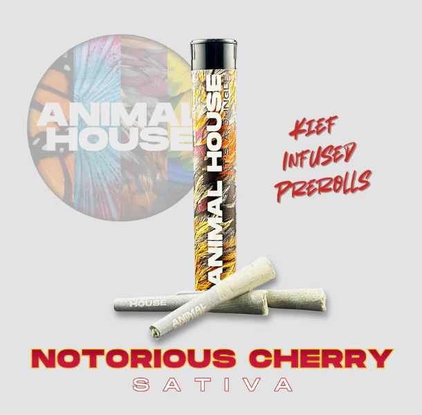 Animal House - Notorious Cherry - 3PK Kief Infused Prerolls Main Image