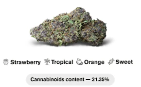 Real Life Botanicals - 3.5g - Strawberry Mimosa