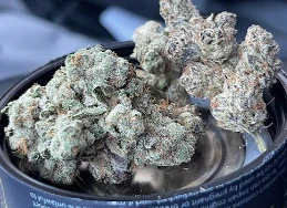 Real Life Botanicals - Real Life Botanicals - 3.5g - Garlic Cookies Main Image