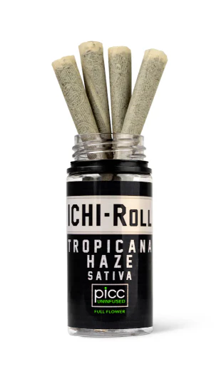 PICC - PICC | Pre-roll | ICHI-ROLL | Tropicana Haze | 4pk 1g 4g Main Image
