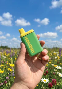 Holiday | Vape Pens | AIO | Day Trip | 0.5g