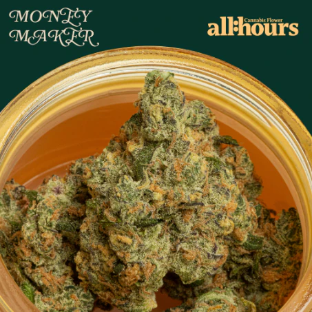 all:hours - all:hours Money Maker 42218 Main Image