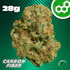 Product Preview Image 1