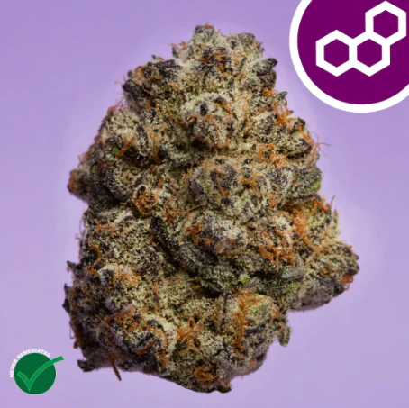 Theraplant - Jelly Roll 3.5g 42229 Main Image