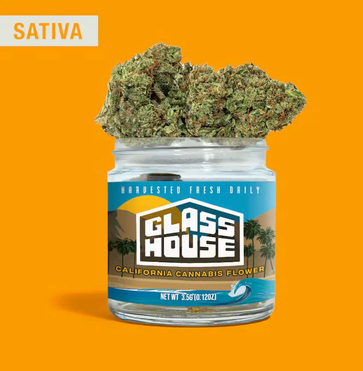 Glass House Farms - Cobra Chi - 3.5g Flower (Glass House) Main Image