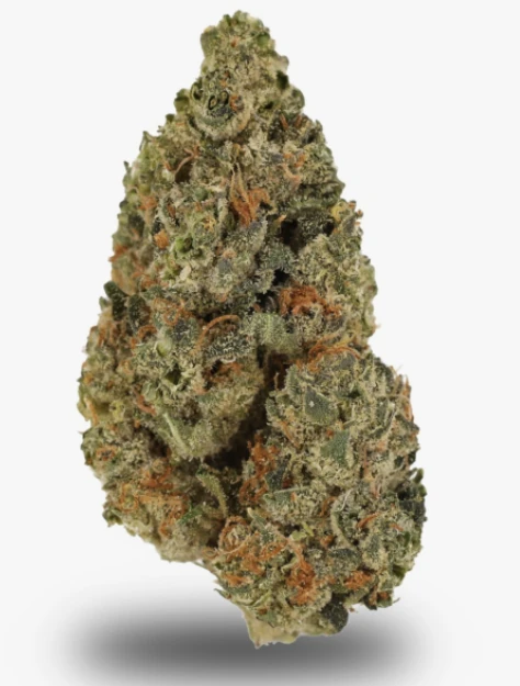 Minny Grown - Zesty Parm 3.5g Main Image