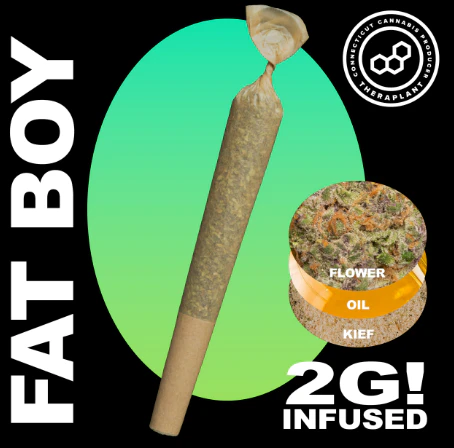 Theraplant - Modified Panckes 2g Fatboy 42247 Main Image
