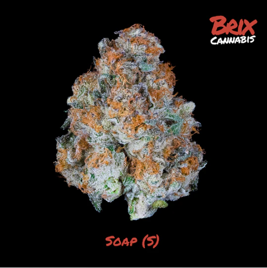 BRIX - Soap Lil' Budz 7g (S) 00618 Main Image