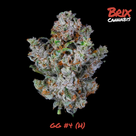 BRIX - GG4 Whole Flower 3.5g (H) 00665 Main Image