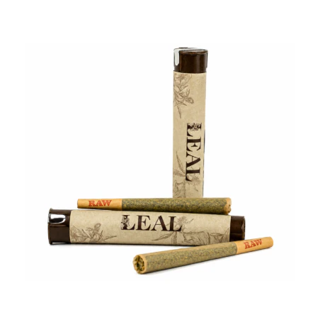 Leal - Leal - GMO - 1g Preroll Main Image