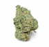 Product Preview Image 2