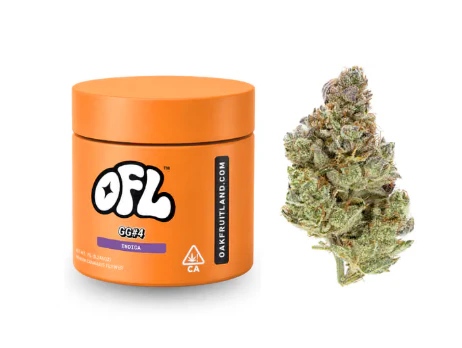 Oakfruitland (OFL) - OAKFRUITLAND: GG4 7g - Indoor Flower Jar (I) Main Image