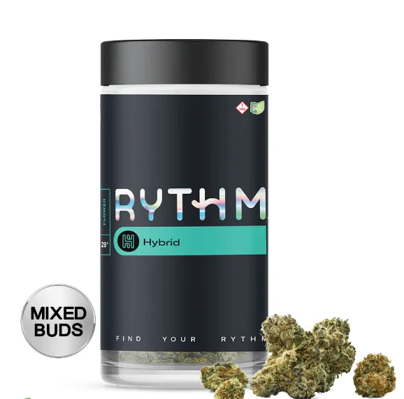 RYTHM - Rythm | Bananaconda | Indoor | Flower | 28g | Hybrid Main Image