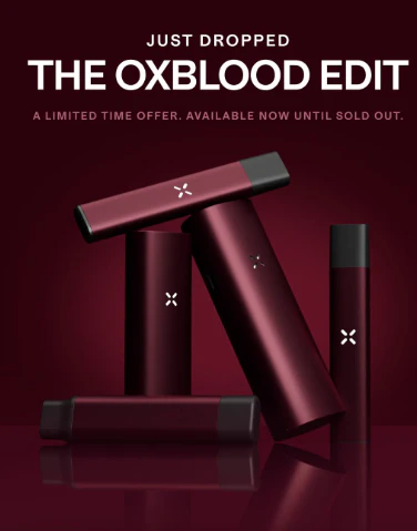 PAX - PAX | GO OXBLOOD | BATTERY Main Image