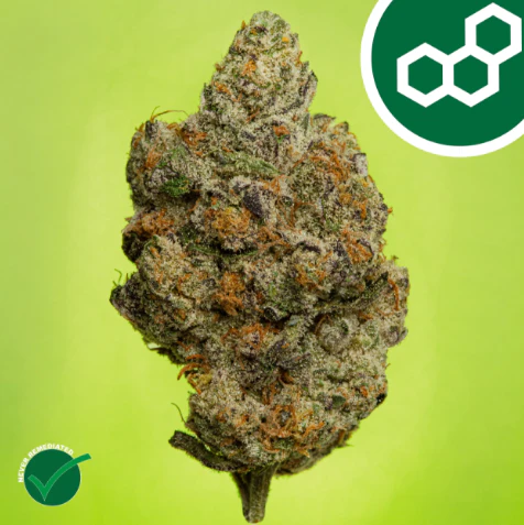 Theraplant - Carbon FBR 14g 42234 Main Image