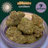 Product Preview Image 1