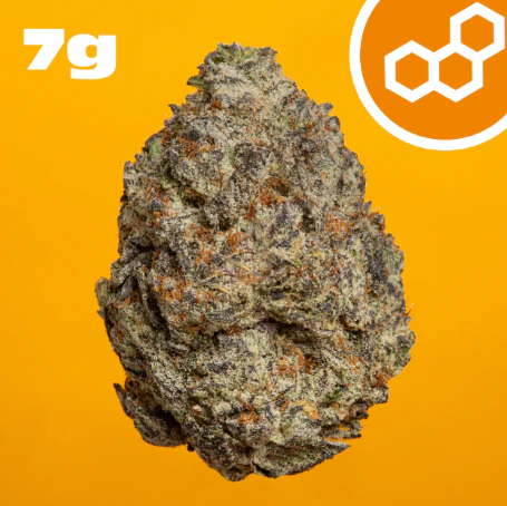 Theraplant - Strawberry Cndy 7g 42230 Main Image