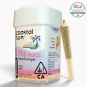 Coastal Sun Pre-roll 0.35g 10pk 3.5g Sherbanger (H)