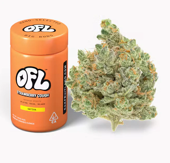Oakfruitland (OFL) - Oakfruitland 14g Jar Bigs Strawberry Cough (S) Main Image