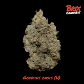 Govmint Oasis Whole Flower 3.5g (H) 00667