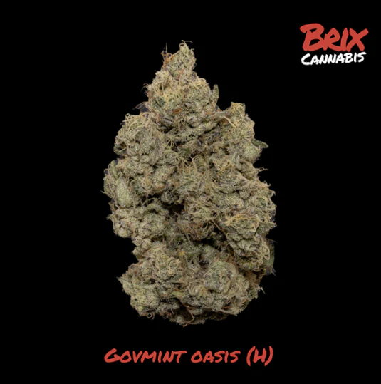 BRIX - Govmint Oasis Whole Flower 3.5g (H) 00667 Main Image