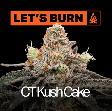 Let's Burn - Let's Burn CT Kush Cake 3.5g 0132 Main Image