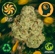 Flow State Lemon Cherry Gelato 42302