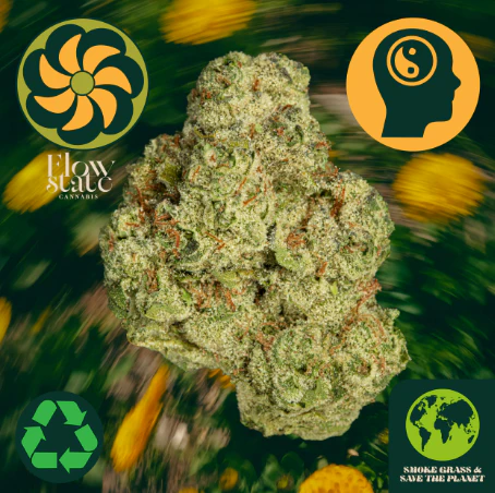 Flow State - Flow State Lemon Cherry Gelato 42302 Main Image