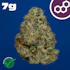 Product Preview Image 1