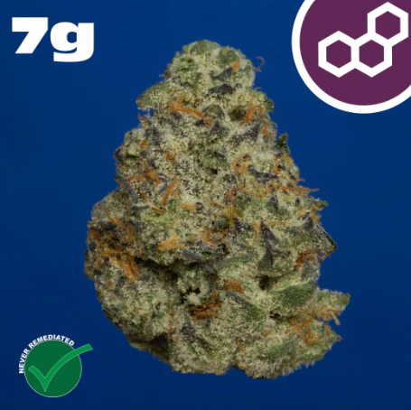 Theraplant - Plasma Gas 7g 42153 Main Image
