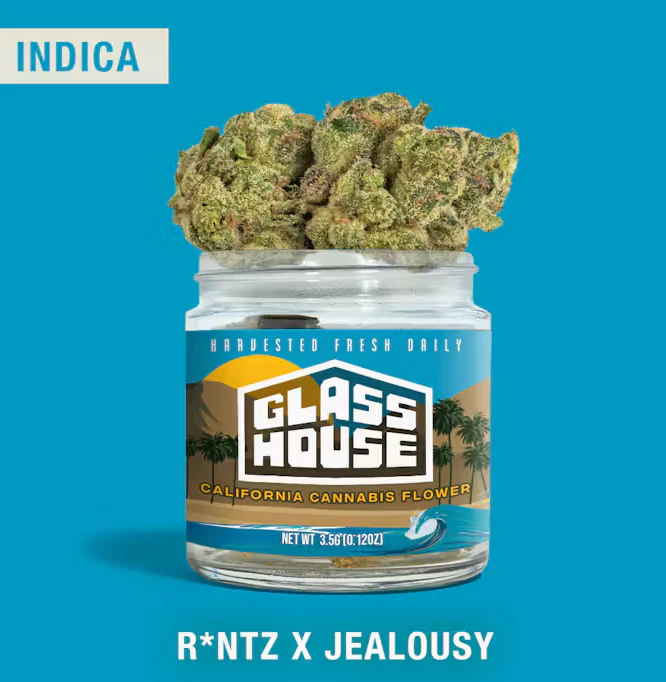 Glass House Farms - R*ntz x Jealousy - 3.5g Flower (Glass House) Main Image
